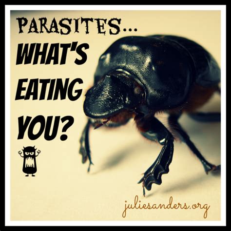 parasite porn|VIDEOS